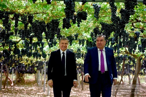 Президент Узбекистана подарил таджикским дехканам автомобили Captiva
