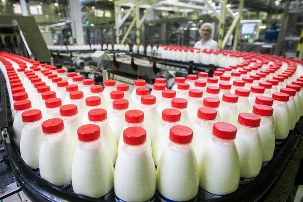 В Узбекистане в декабре 2022 года было произведено 552,7 тонны йогурта