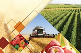 Uzbekistan and Kazakhstan are implementing 12 joint investment projects in the agro-industrial complex until 2050