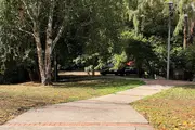 В Ташкенте создадут микролеса во дворах и на территориях школ