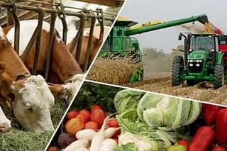 Poland expresses its support and readiness to assist in development of agricultural sector in Uzbekistan