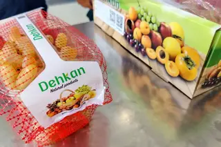 Ferghana Grapes Exported to South Korea for First Time