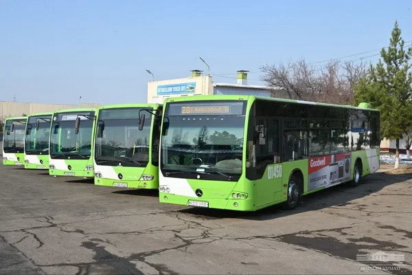 В Ташкенте открыто семь новых автобусных маршрутов