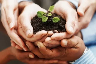 Some 56,896 units of family enterprises operate in Uzbekistan