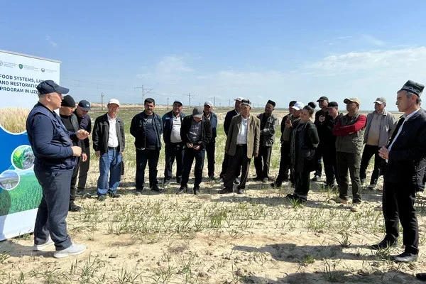 ФАО провела полевой день в Кашкадарьинской области