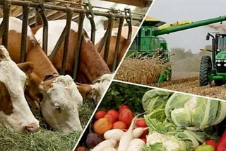 Uzbekistan to direct US$21.4 million for the development of agriculture