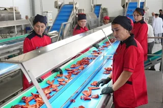 BMB Agro Plus and BMB Impex begin operations in Jizzakh region