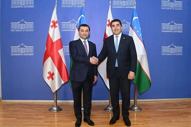 Uzbekistan’s Foreign Minister Meets with Speaker of the Georgian Parliament