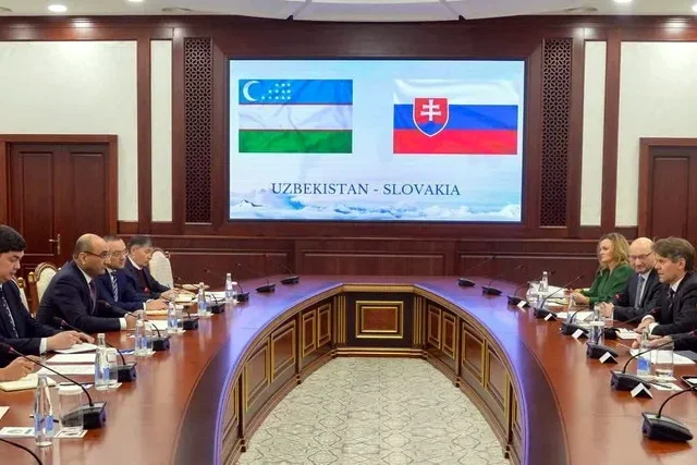 Fifth round of Uzbek-Slovak political consultations takes place