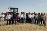 В Кашкадарьинской области внедряют почвозащитную технологию No-Till