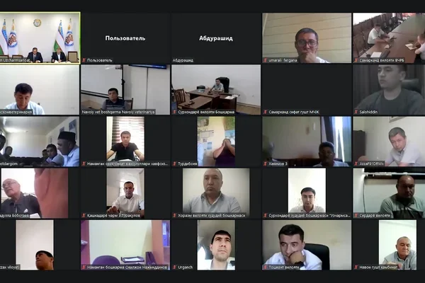 Problems and challenges facing modern automated slaughterhouses discussed