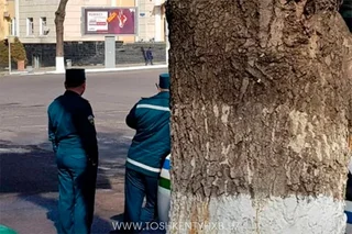 Яширинча радар тутиш қатъий тақиқланди