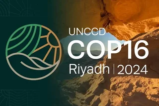 COP16: Страны мира вновь объединяются для борьбы с засухой и опустыниванием