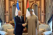 Президент Узбекистана обсудил с Вице-президентом ОАЭ практические меры по дальнейшему расширению многопланового партнерства