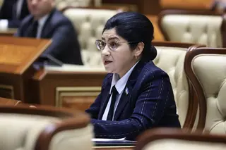 Сенатор направила Арипову запрос по защите детей от насилия