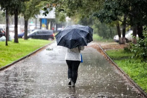 Uzhydromet warns of heavy rains and thunderstorms early next week