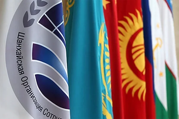 SCO National Coordinators discuss activities of organization