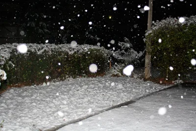 First snow falls in Tashkent