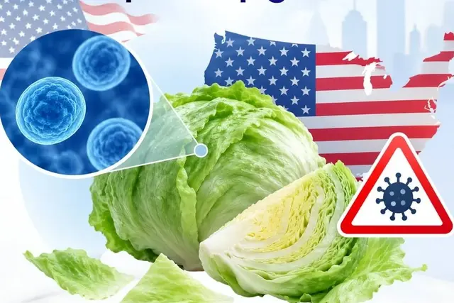 В США выявили вспышку Cyclospora из-за салата айсберг