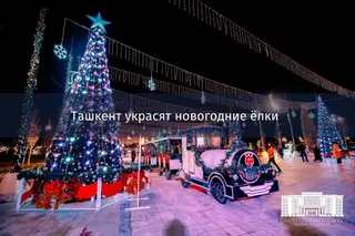 New Year Trees to be installed in Tashkent