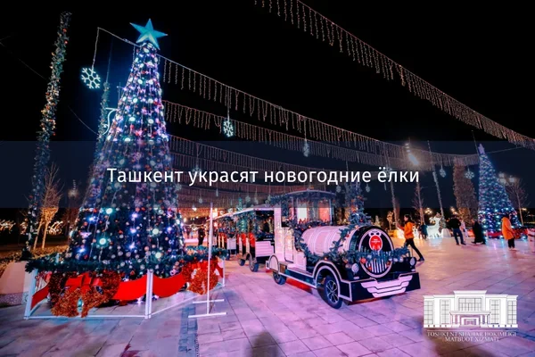New Year Trees to be installed in Tashkent