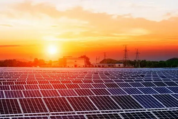 12 international companies expressed interest in participating in the tender for the construction of a solar power plant in Guzar district