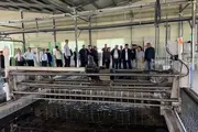 В Наманганской области создадут рыбоводческий кластер