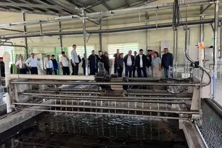Namangan Region to Create Fish Farming Cluster