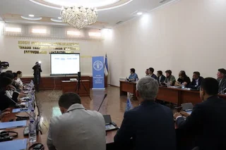 ФАО Марказий Осиё ва ундан ташқарида асаларичиликни барқарор ривожлантириш учун рақамли ечимларни қўллаб-қувватлайди