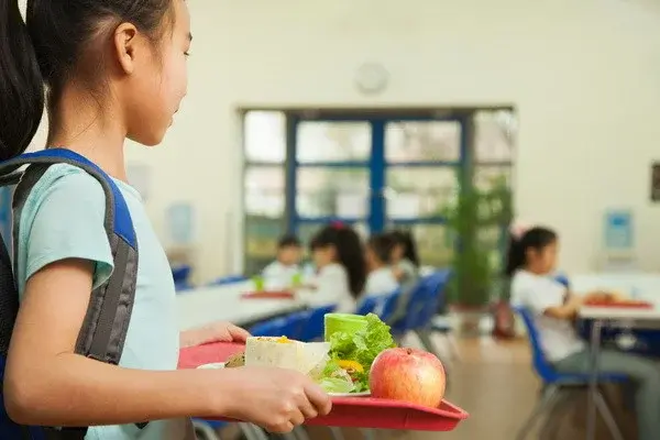 Primary school students to receive free meals