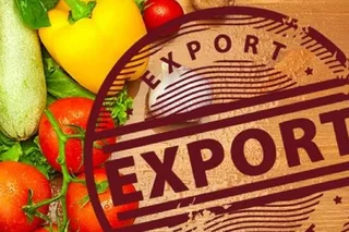 Russia, Kyrgyzstan and China were main export market for Uzbek fruits and vegetables