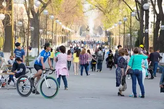 Демографические показатели города Ташкента - в цифрах