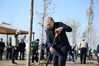 Шавкат Мирзиёев посадил дерево в новом саду