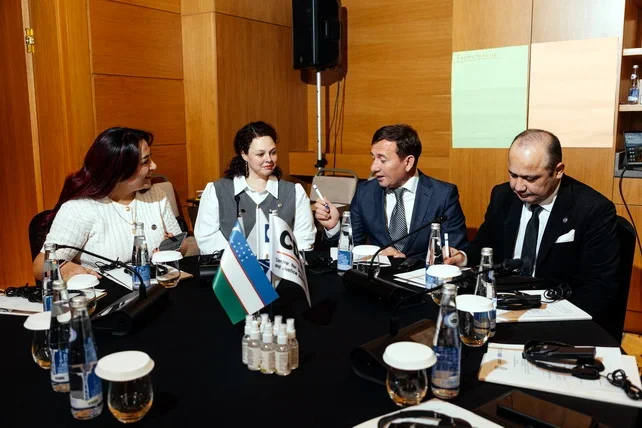 OSCE shares international experience for effective protection of human rights in court and during detention