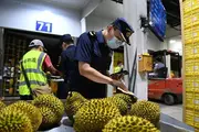 Внешняя торговля сельхозпродукцией в Китае выросла за первые три квартала 2023 г.