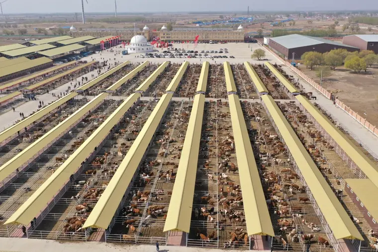 Hinggan League Agricultural, Cultural and Tourism Consumption Carnival Opens in Beijing