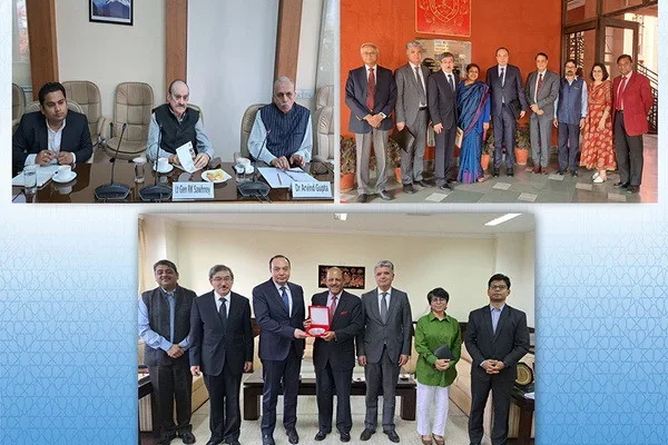 Uzbekistan and Indian experts discuss the prospects for the development of interaction