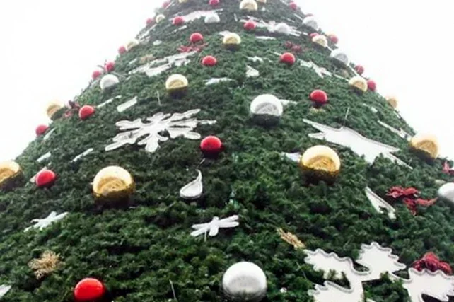 Main New Year’s Tree to be Installed in Front of the National Library of Uzbekistan