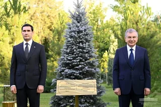 President of Turkmenistan plant a tree on the Alley of Honored Guests