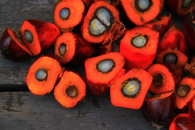 Uzbekistan strengthens control over palm oil and trans fat products