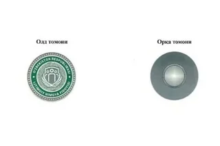 “Ijtimoiy himoya fidoyisi” ko‘krak nishoni bilan taqdirlash tartibi belgilandi