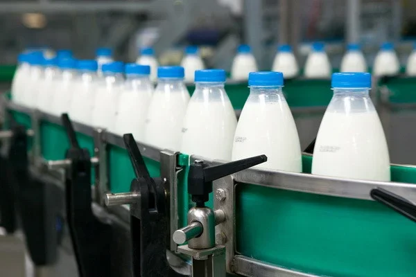 IPMI experts analyzed the efficiency of milk production in Uzbekistan