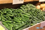 4 ойда 3,1 минг тонна бодринг экспорт қилинган