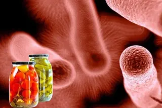 Two people died as a result of poisoning in Samarkand region