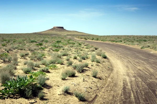 Uzbekistan modernizes irrigation system