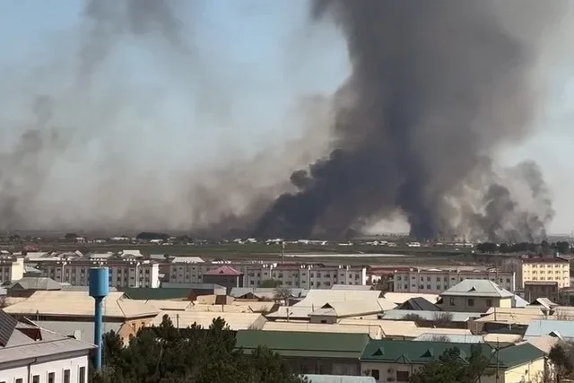 Surxondaryo viloyatida Afg‘oniston bilan chegaradagi yong‘in haqida rasmiy izoh berildi