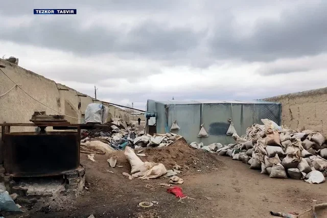 Navoiy viloyatida noqonuniy oltin qazib olish ishlari to'xtatildi