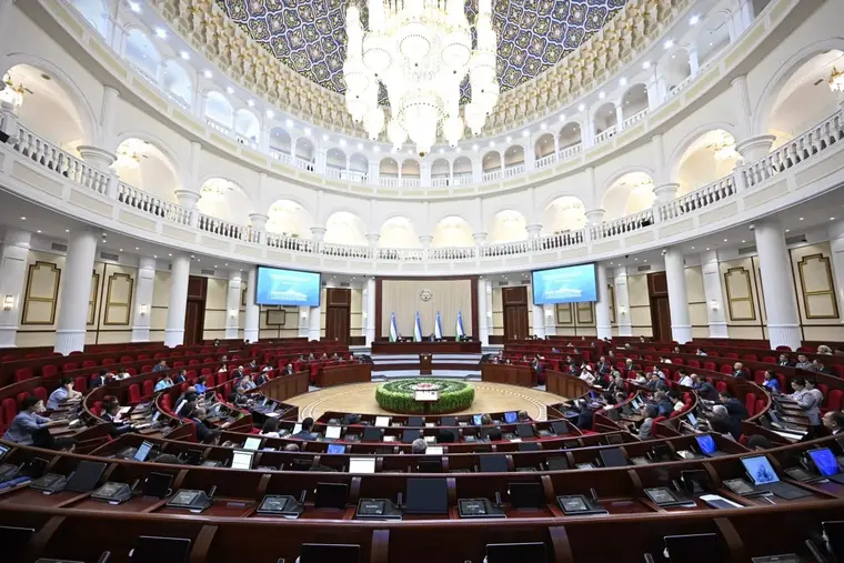 Законодательная палата одобрила законопроект о защите прав через Конституционный суд