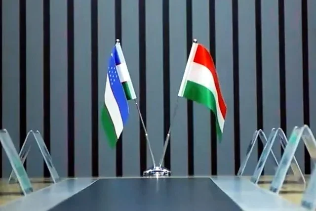 Uzbekistan and Hungary Discuss Cooperation in Employment and Vocational Training