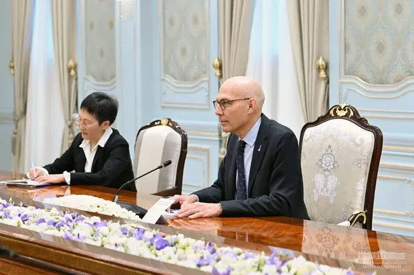 Президент Узбекистана выступил за дальнейшее углубление конструктивного сотрудничества со структурами ООН в области прав человека